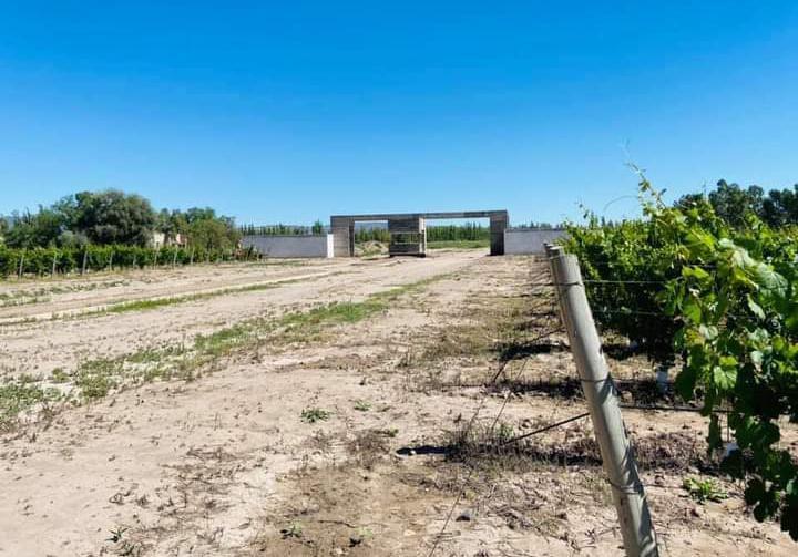 Lote de 750 m² a La Venta en Rama Caída Distrito de San Rafael Mendoza 4