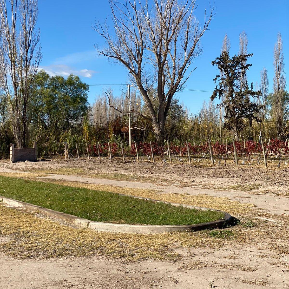 Lote de 750 m² a La Venta en Rama Caída Distrito de San Rafael Mendoza 2