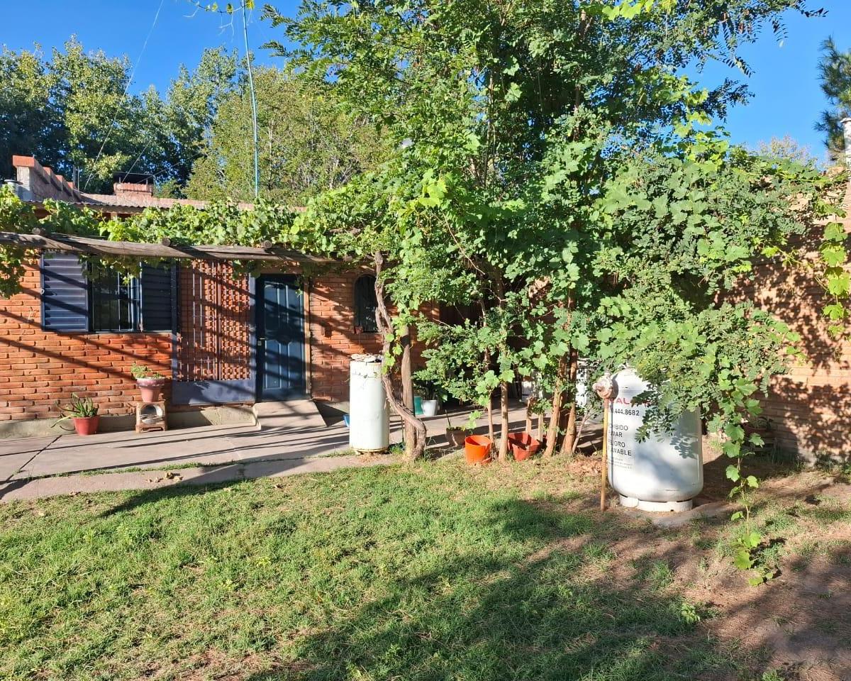 Finca 3.5 Ha con Casa en Cañada Seca Distrito San Rafael Mendoza 1
