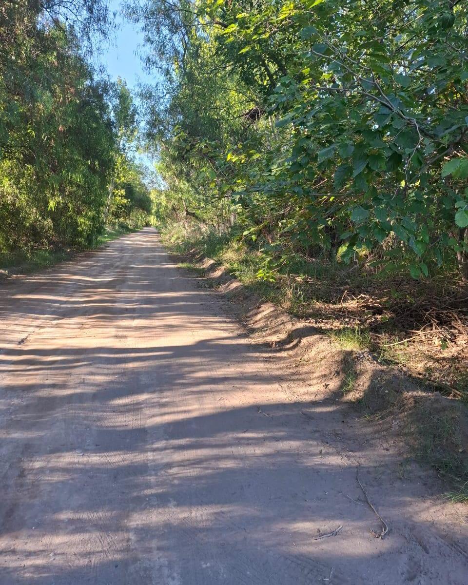 Finca 3.5 Ha con Casa en Cañada Seca Distrito San Rafael Mendoza 2