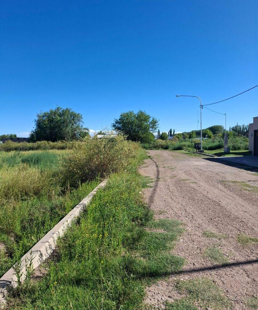 VENTA DE LOTE DE 420 M² EXCELENTE UBICACIÓN EN SAN RAFAEL MENDOZA