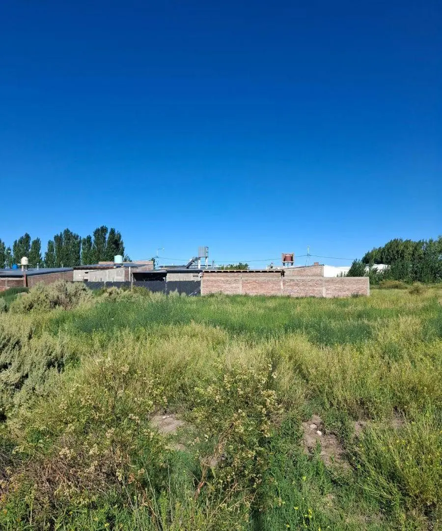 VENTA DE LOTE DE 420 M² EXCELENTE UBICACIÓN EN SAN RAFAEL MENDOZA 5