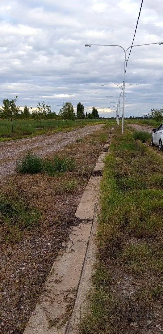 LOTE DE 435 m² - A SOLO 7 MINUTOS DEL CENTRO DE SAN RAFAEL MENDOZA 4