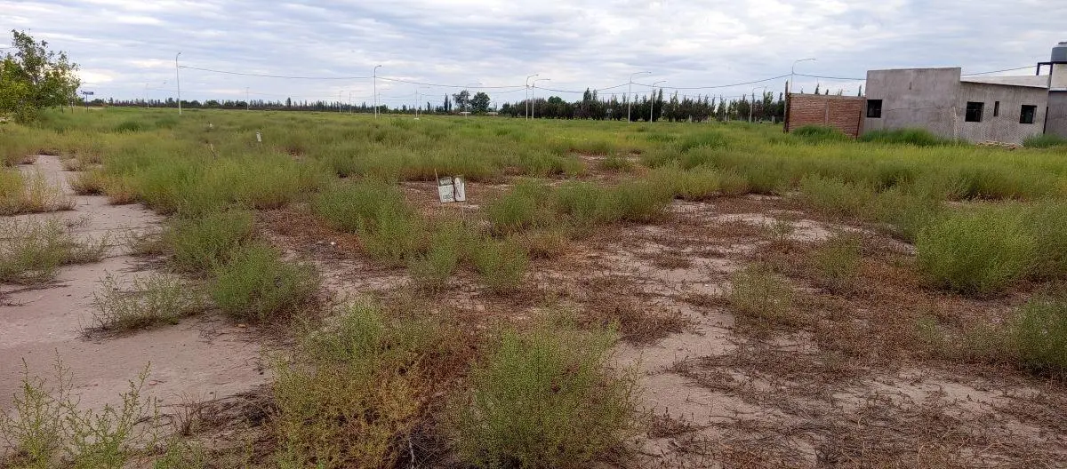 LOTE DE 435 m² - A SOLO 7 MINUTOS DEL CENTRO DE SAN RAFAEL MENDOZA 2