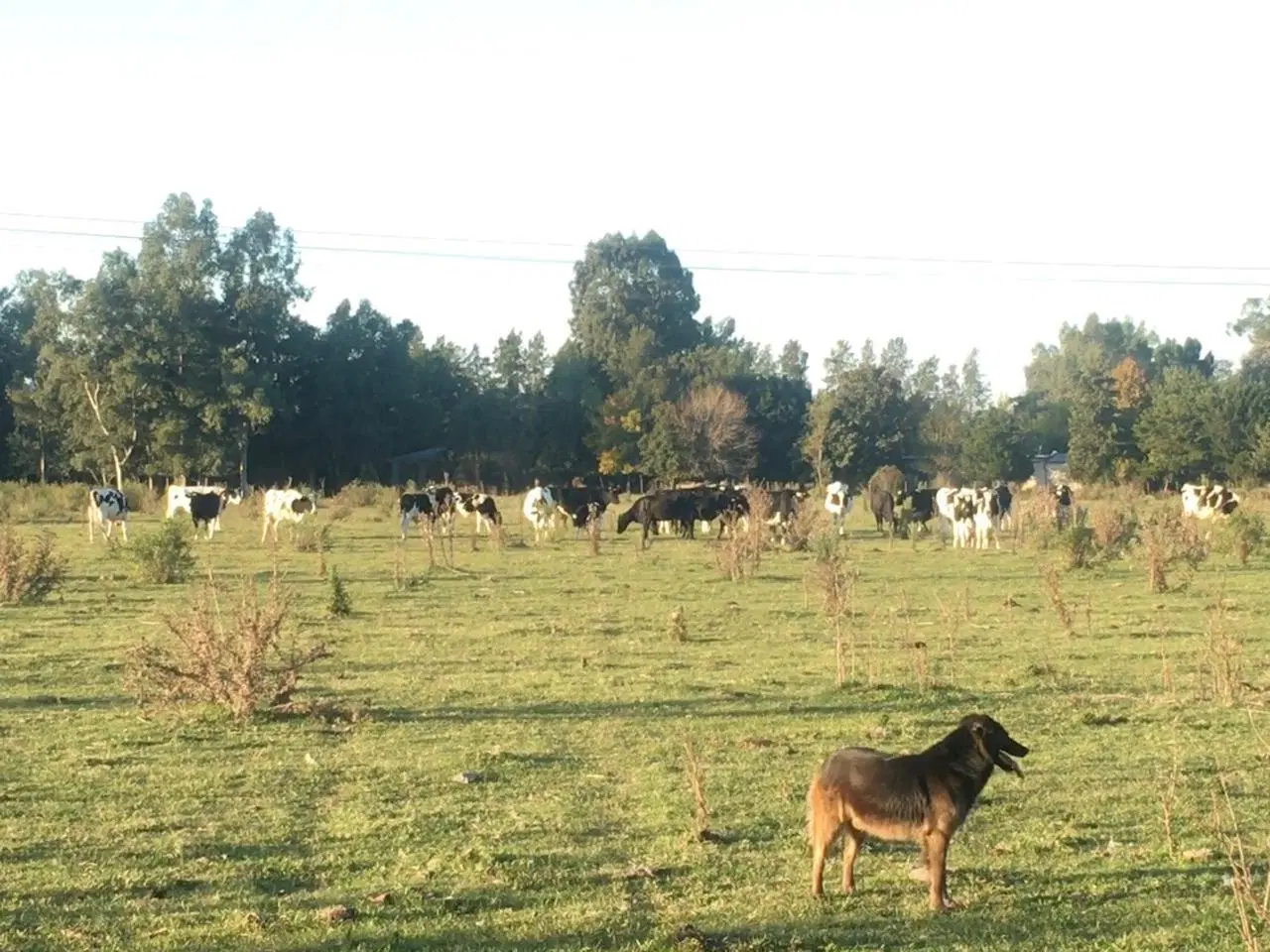 Campo en Matices Club De Campo 5