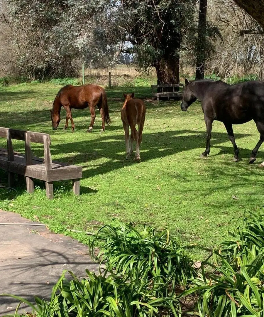 Campo en Matices Club De Campo 2