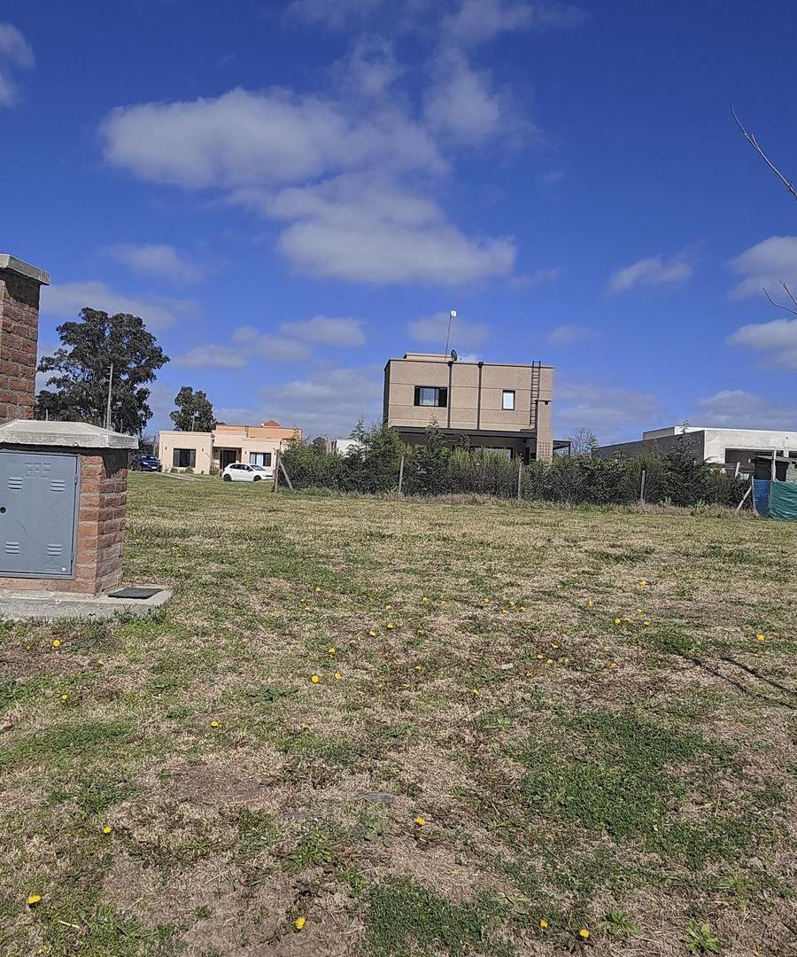 Foto de Terreno en Santa Elisa, imagen 2