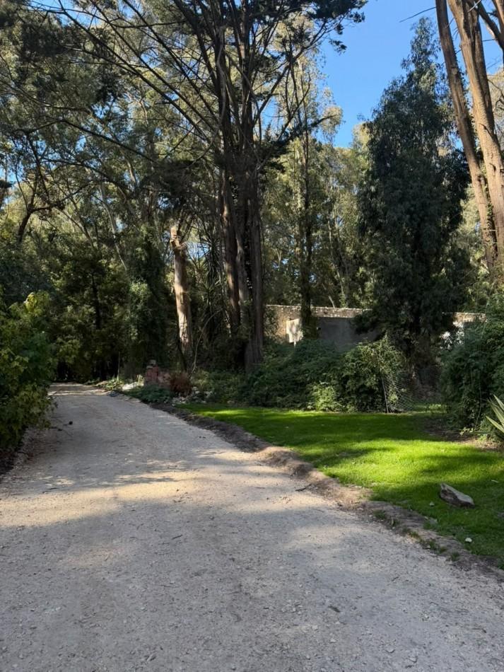 Foto de VENTA LOTE BOSQUE.P.RAMOS.MAZ.240.MAR DEL PLATA, imagen 2