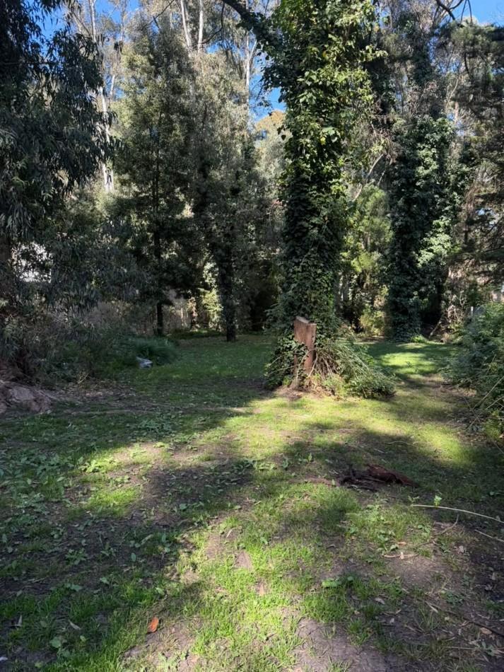 Foto de VENTA LOTE BOSQUE.P.RAMOS.MAZ.240.MAR DEL PLATA, imagen 3