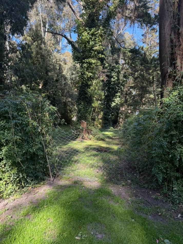 Foto de VENTA LOTE BOSQUE.P.RAMOS.MAZ.240.MAR DEL PLATA, imagen 4