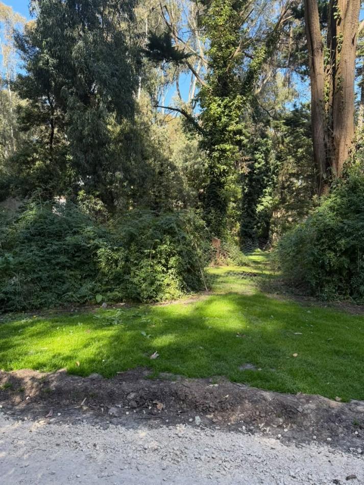 Foto de VENTA LOTE BOSQUE.P.RAMOS.MAZ.240.MAR DEL PLATA, imagen 1