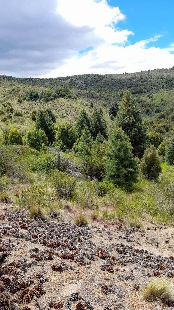 Terreno en Venta en Esquel 2