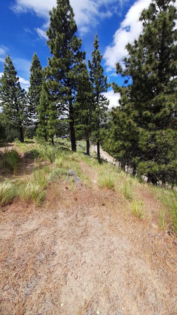 Terreno en Venta en Esquel 4