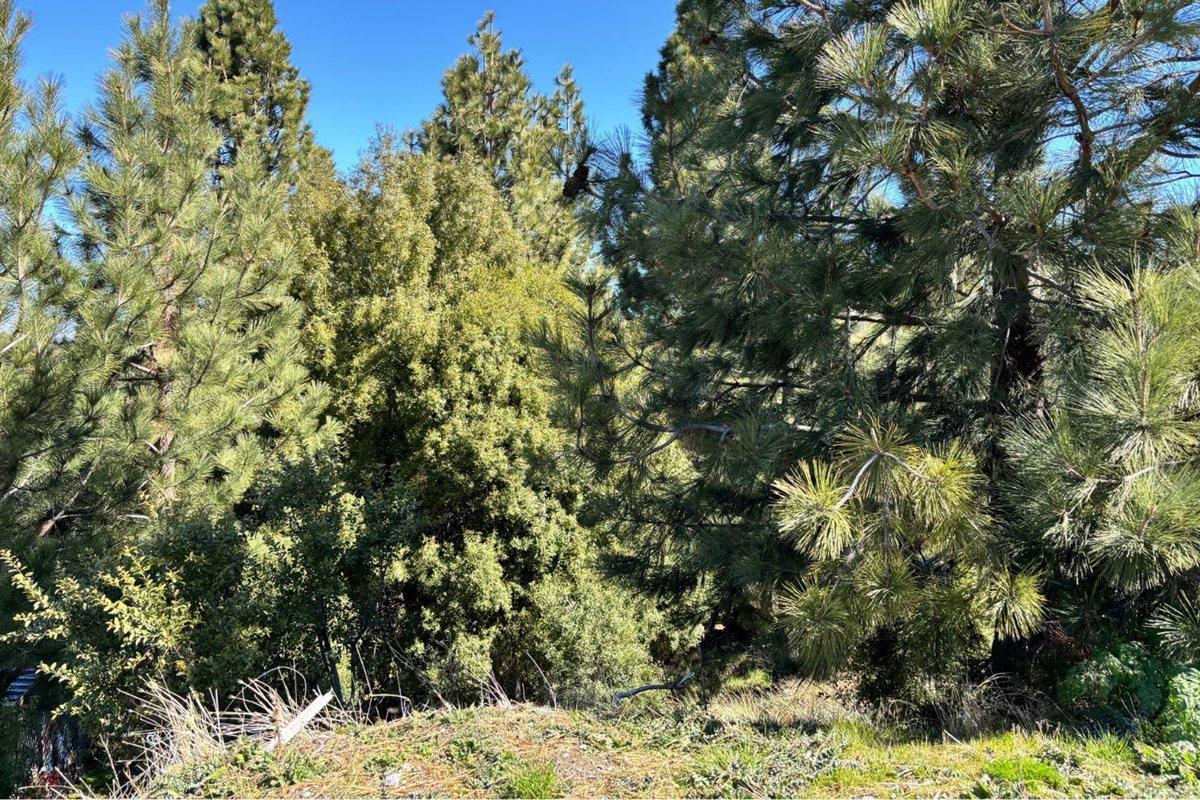 Terreno en Venta en Esquel 1