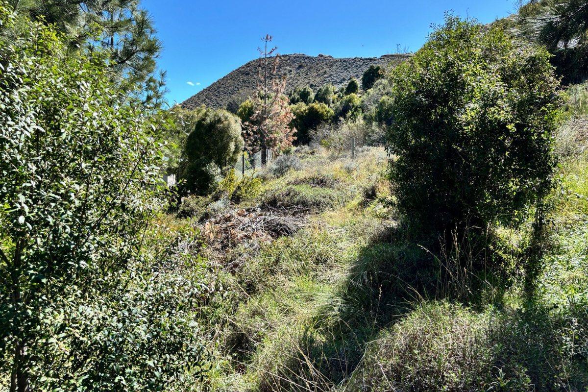 Terreno en Venta en Esquel 5