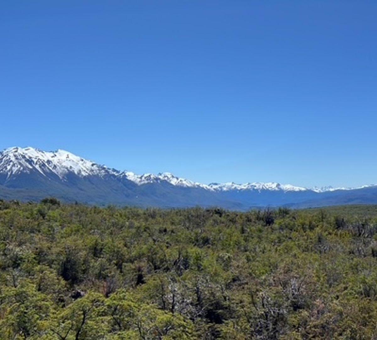 Campo en La Patagonia Argentina 2