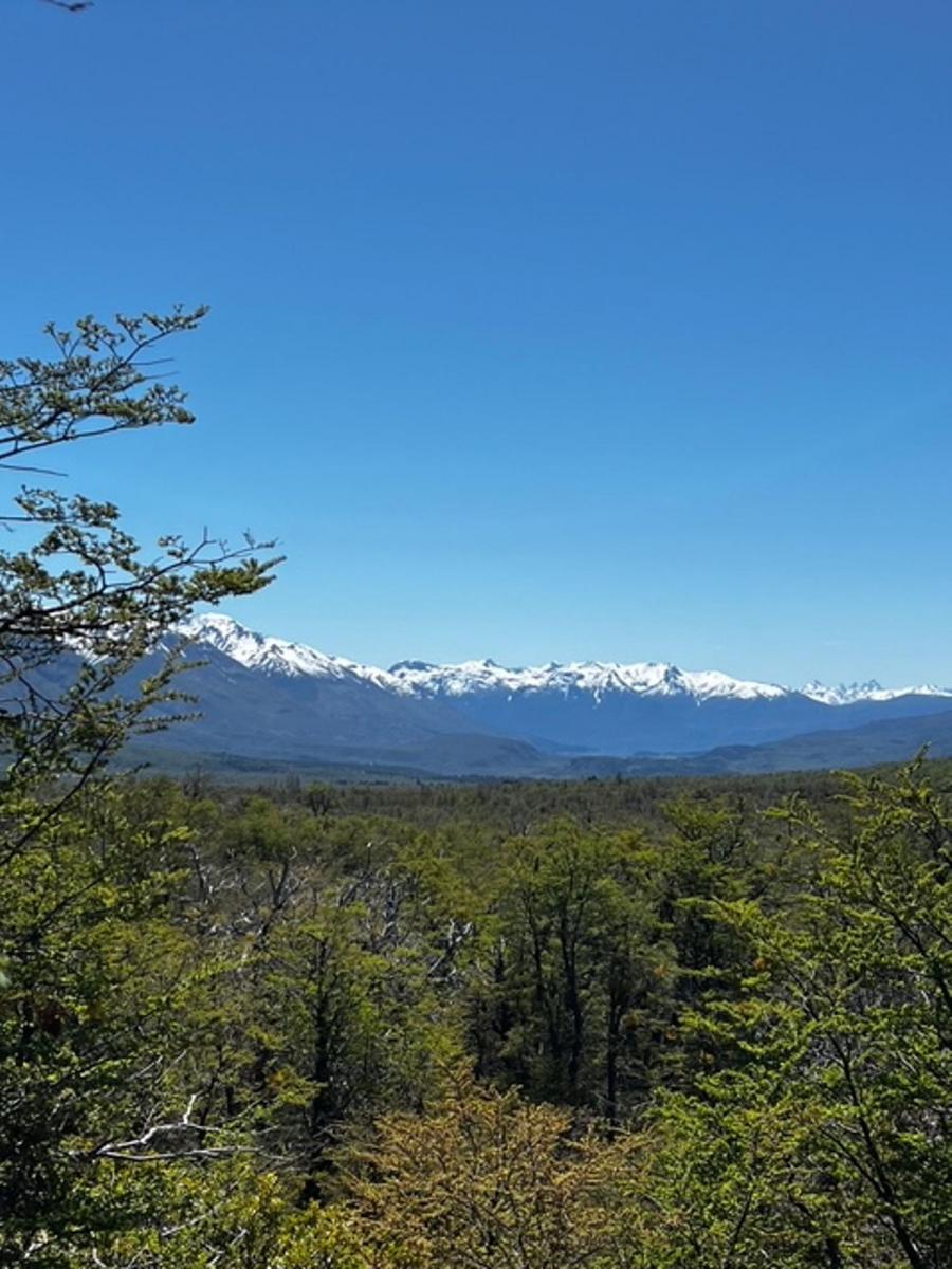 Campo en La Patagonia Argentina 4