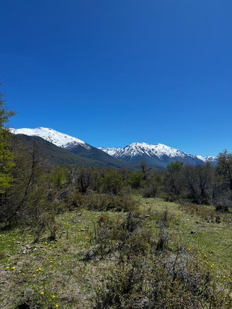 Campo en La Patagonia Argentina 1