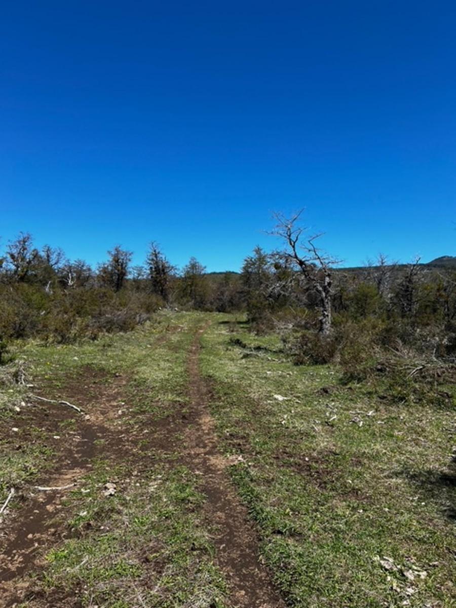 Campo en La Patagonia Argentina 3