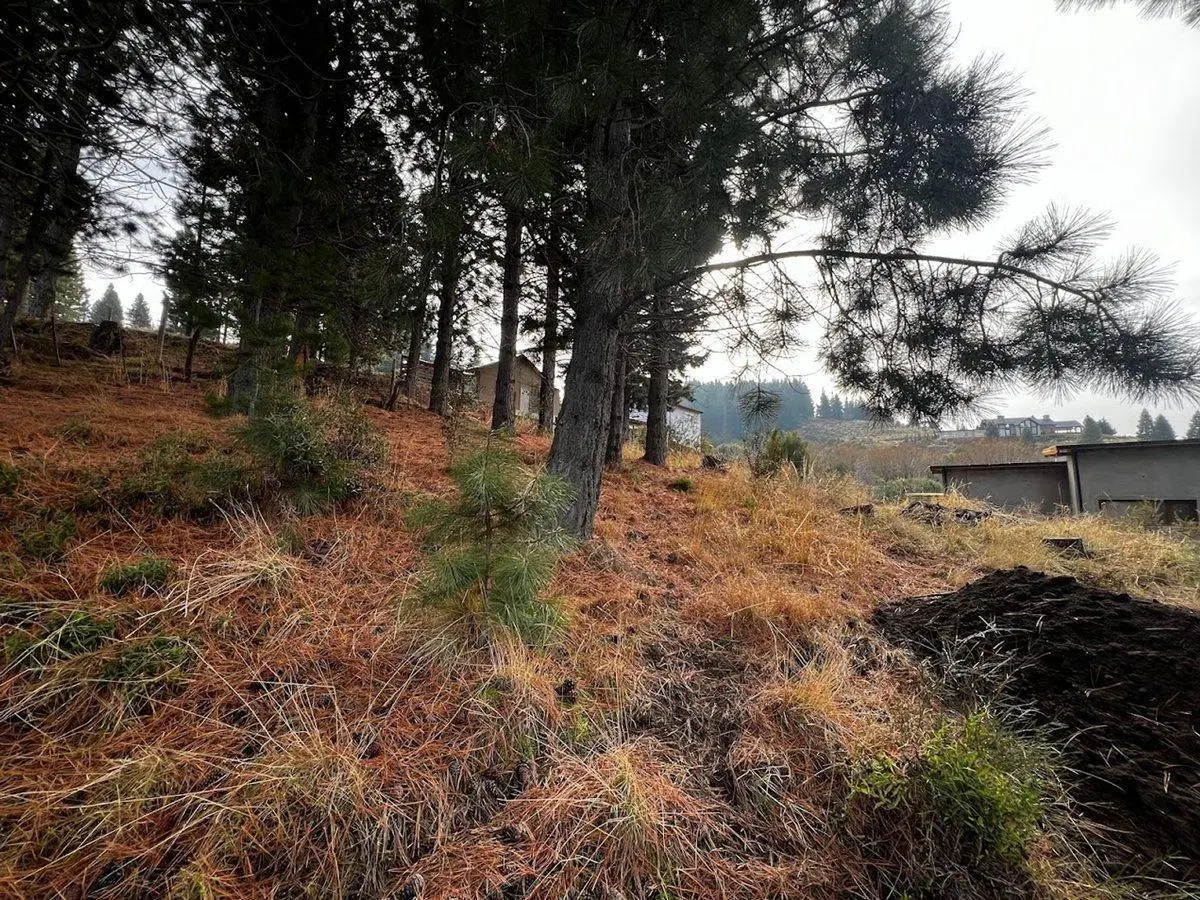 Terreno en Villa Ayelén 4