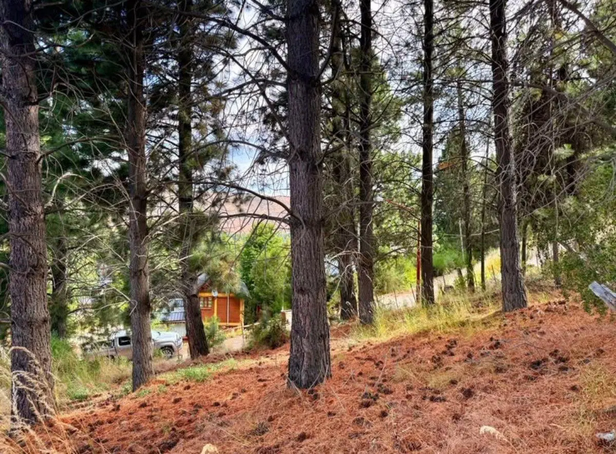 Terreno en Villa Ayelén 5
