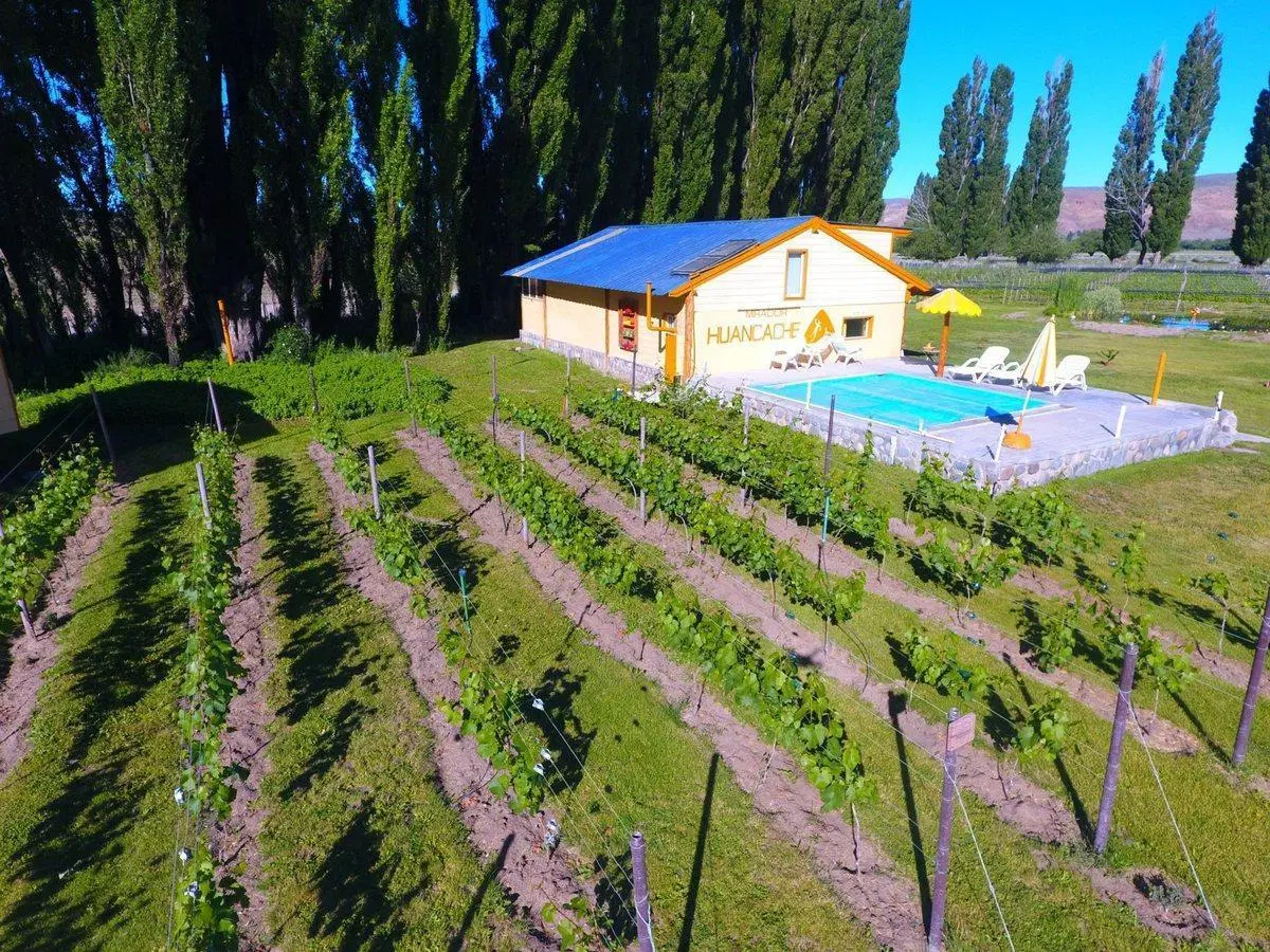 Hosteria y Viñedo en Gualjaina, Chubut Argentina. 4