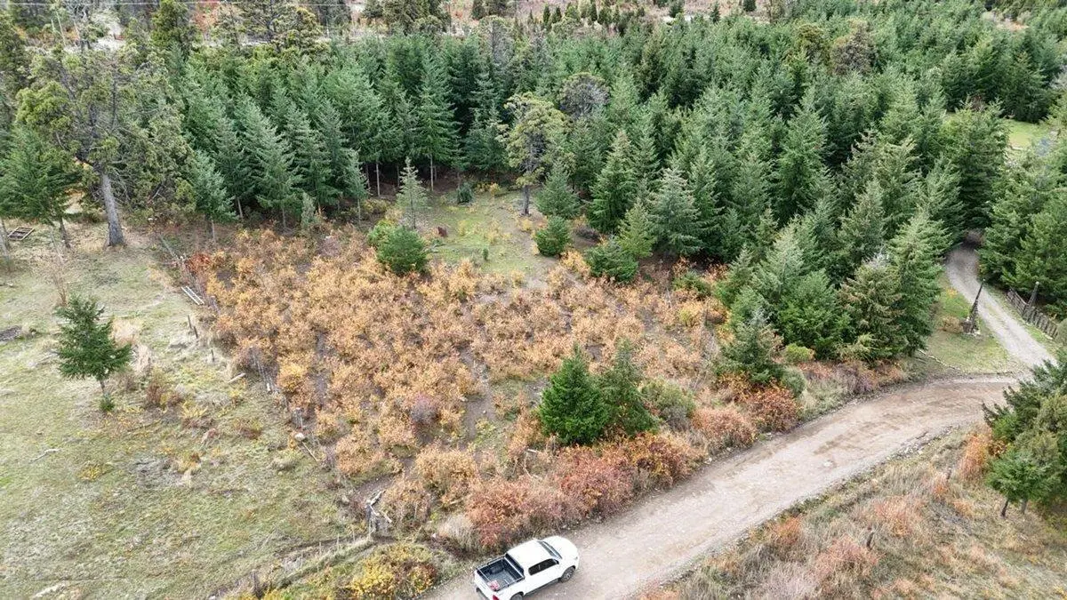 Paraíso patagónico a 5'  del centro Trevelin· 1 ha 3