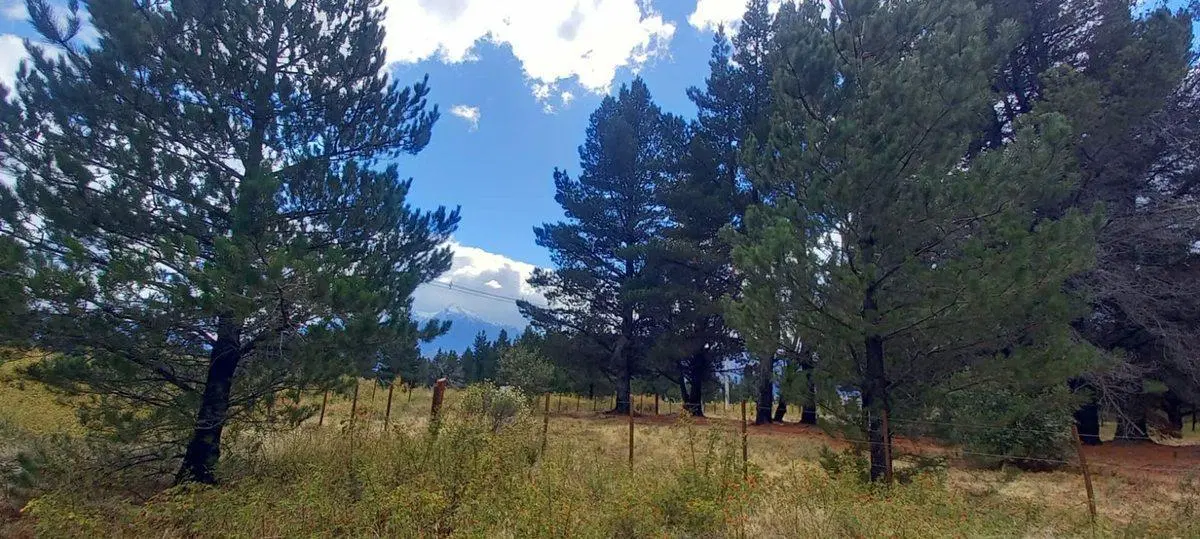 Terreno de 9.894 m² en Epuyén con acceso directo 3