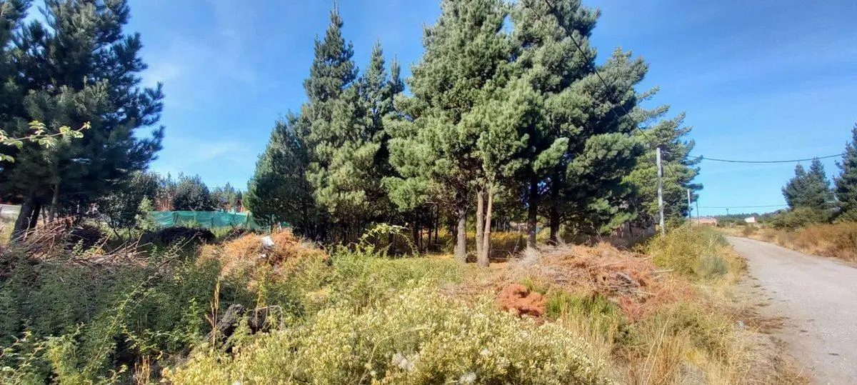 Terreno en Epuyén 2
