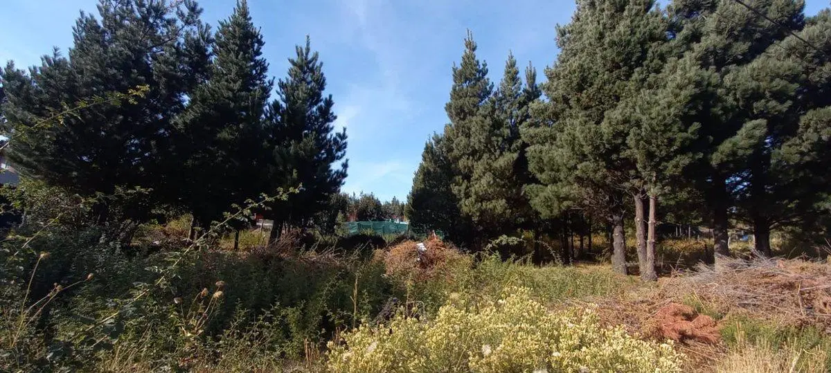 Terreno en Epuyén 4