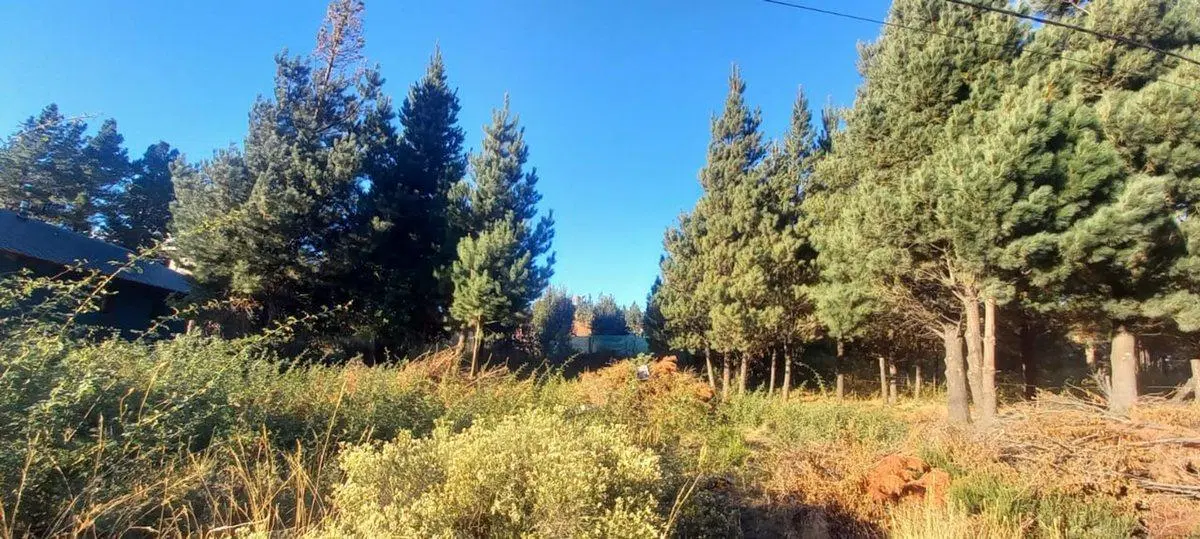 Terreno en Epuyén 5