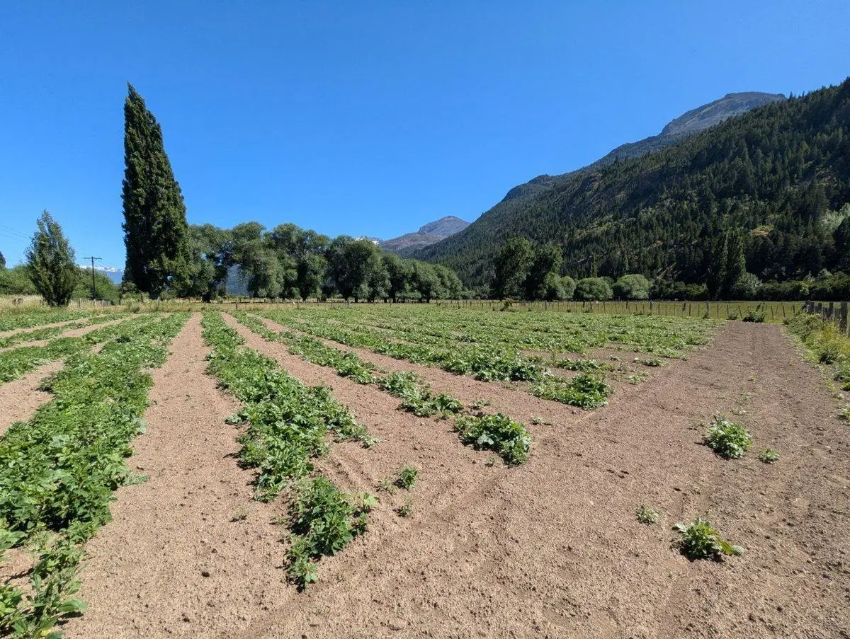 Oportunidad Lote en la Localidad de El Hoyo 4