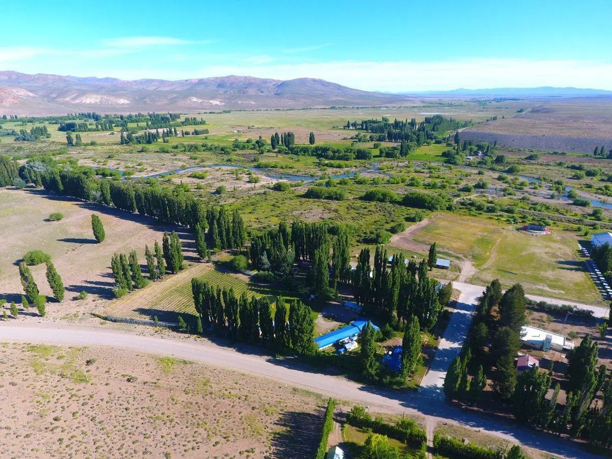 Hosteria y Viñedo en Gualjaina, Chubut Argentina. 5