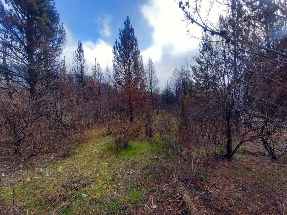 Terreno en cercanías al Lago Epuyén 3