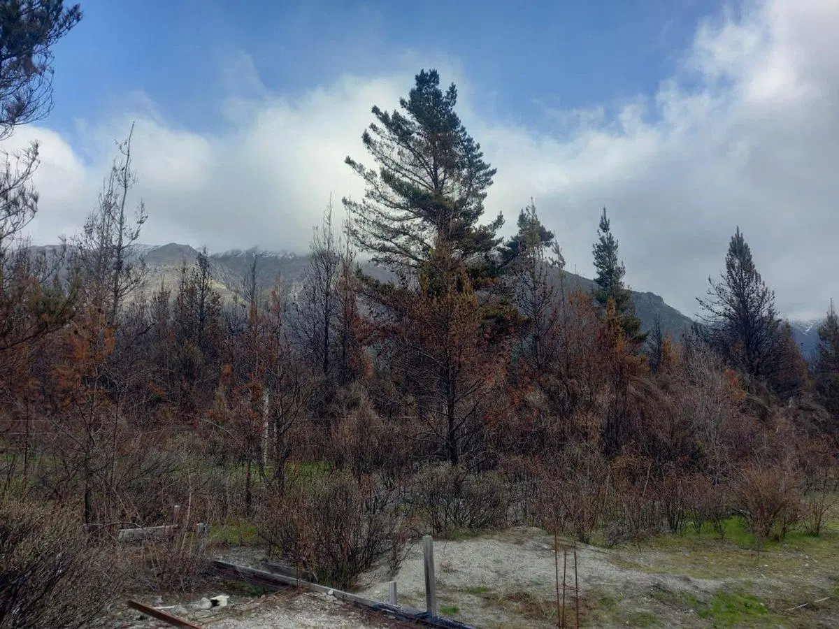 Terreno en cercanías al Lago Epuyén 4