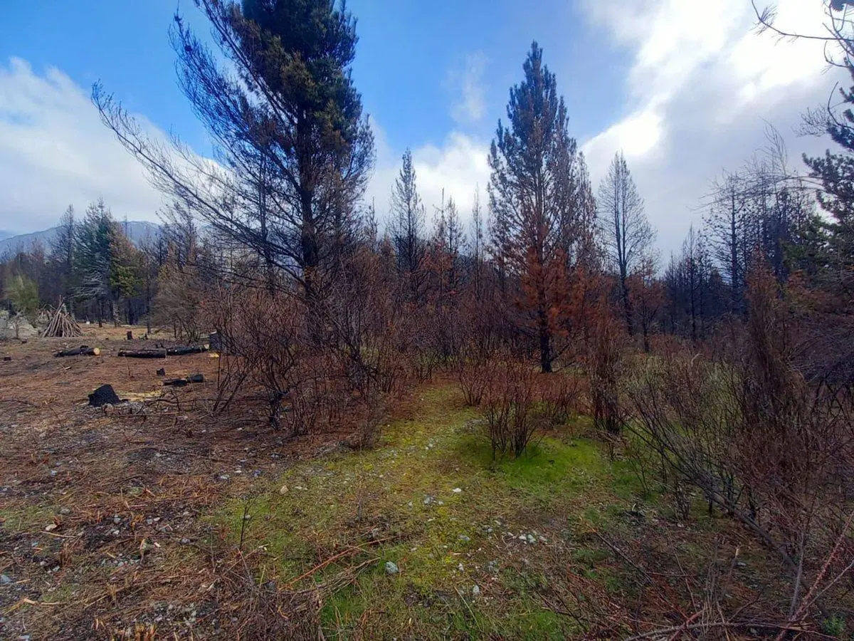 Terreno en cercanías al Lago Epuyén 2