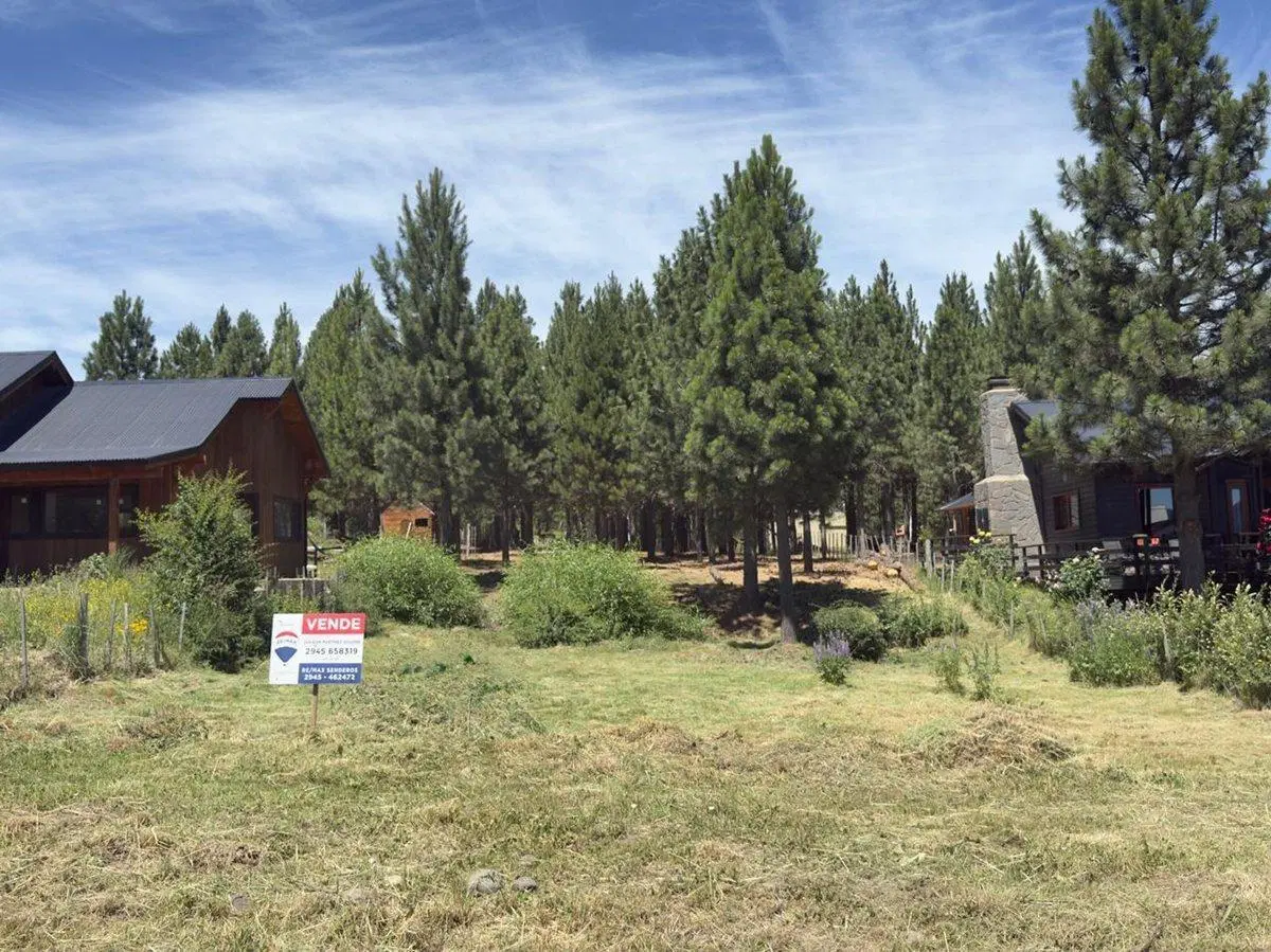 Lote en Trevelin 975 mts2 -15,6 m x 62,5 m 3