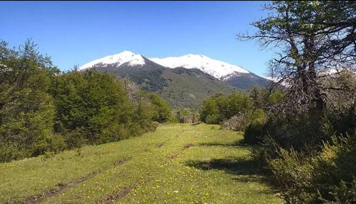 Campo en la Patagonia Argentina 4