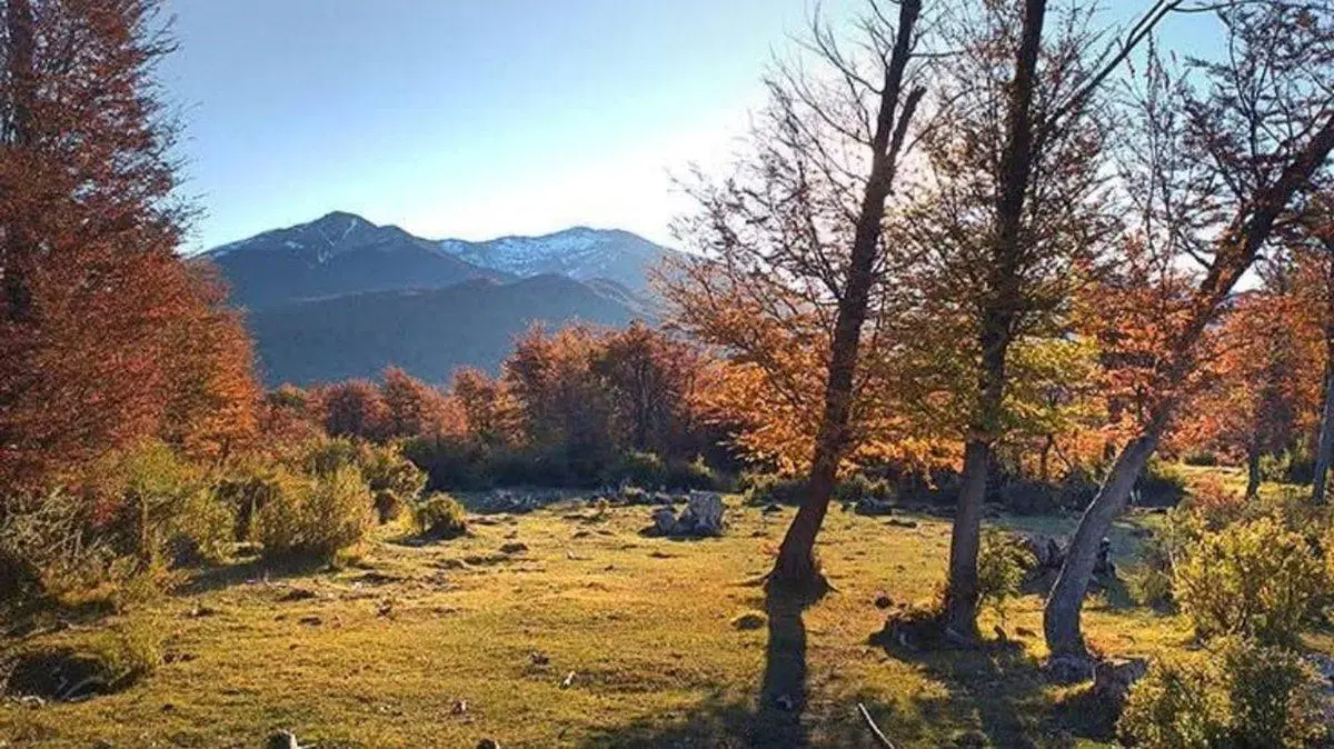 Campo en la Patagonia Argentina 5