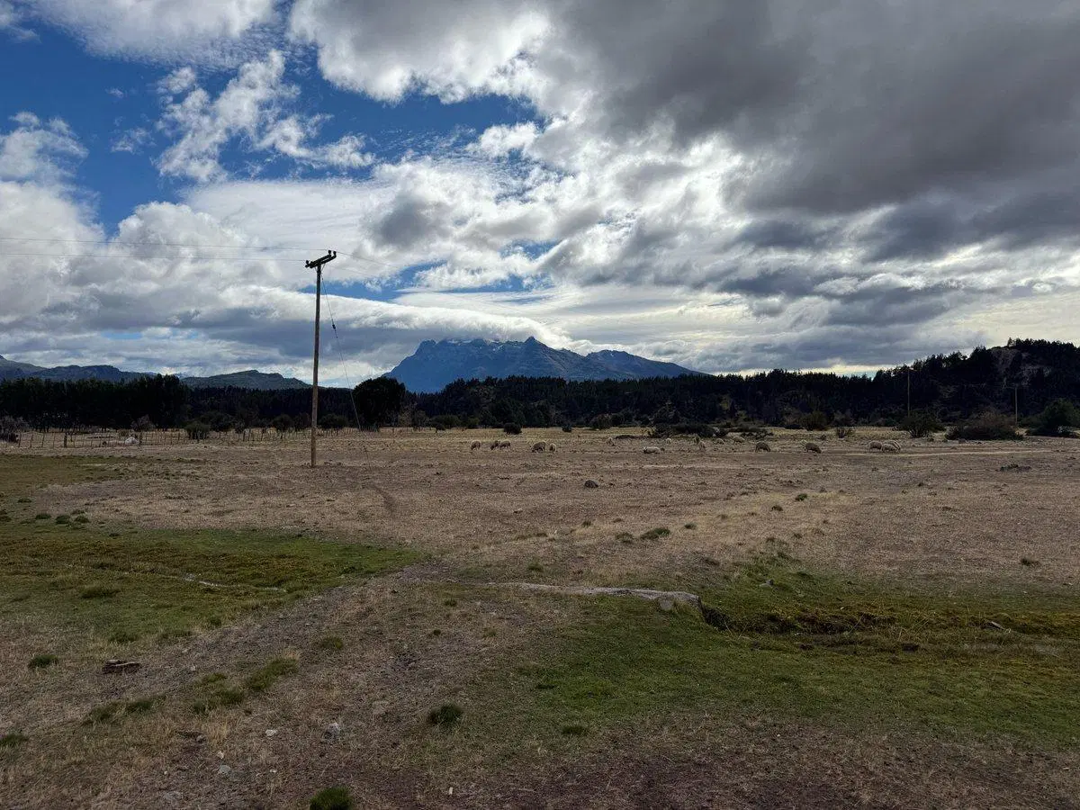 13,86 Has -Lodge, Viñedo-Patagonia Trevelin 5