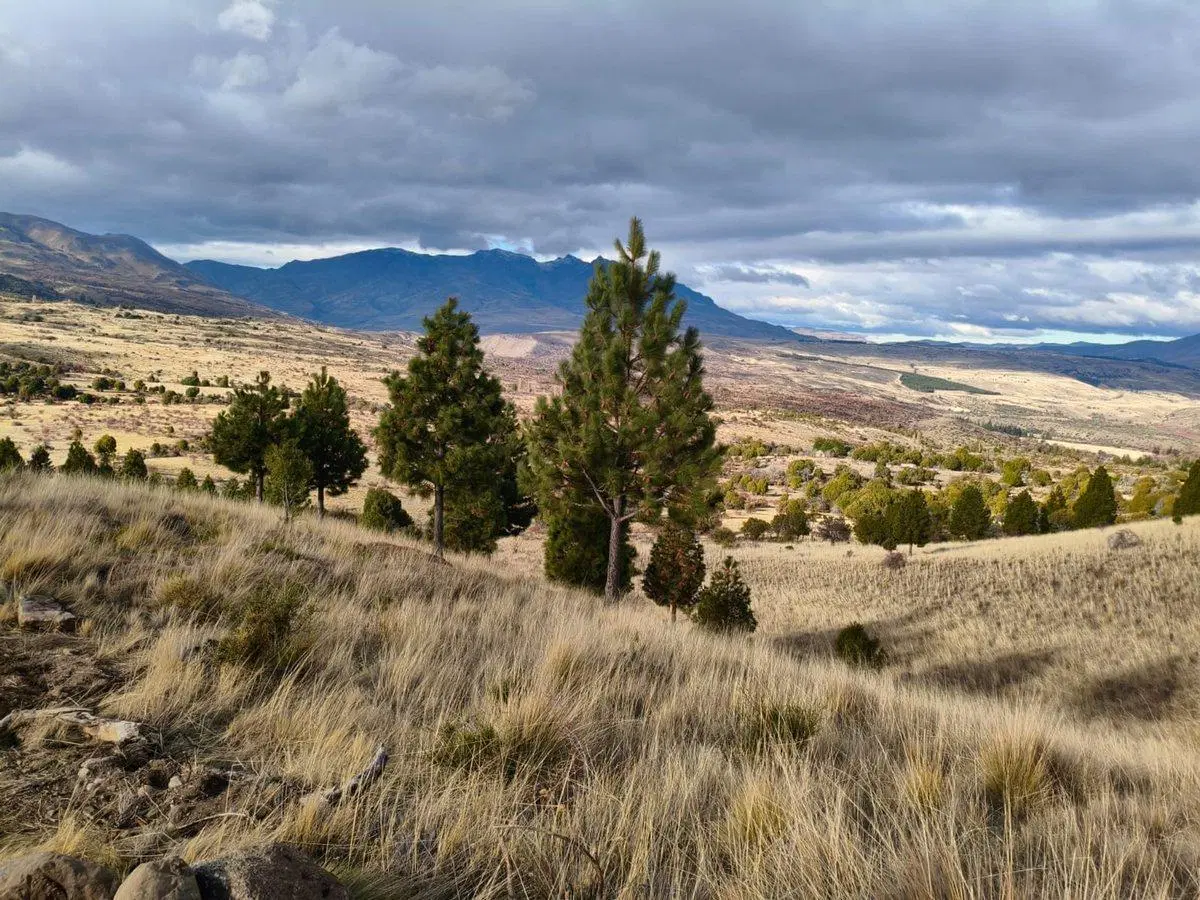 TERRENO EN TREVELIN UNA HA. EN LEGUA 7 5