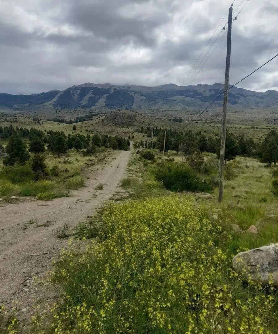 TERRENO EN TREVELIN UNA HA. EN LEGUA 7 2