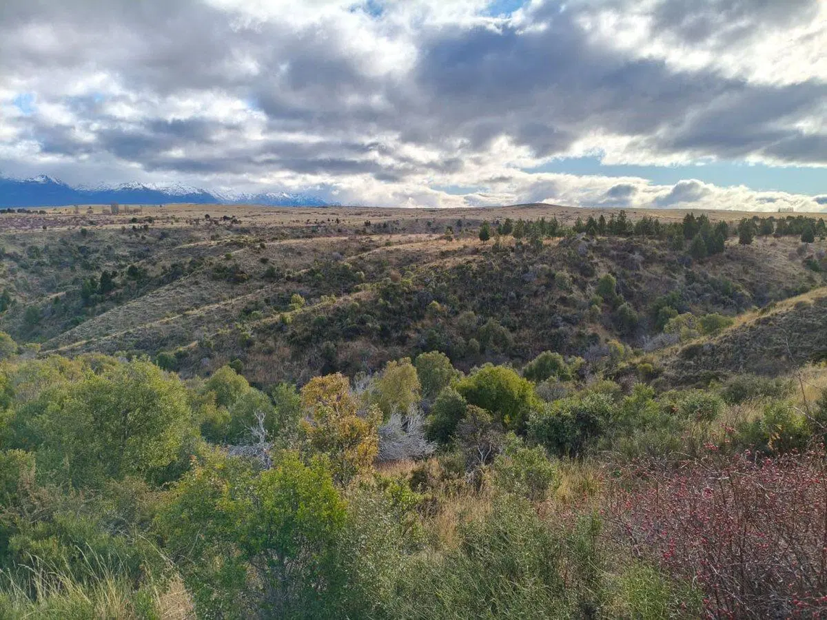 TERRENO EN TREVELIN UNA HA. EN LEGUA 7 4