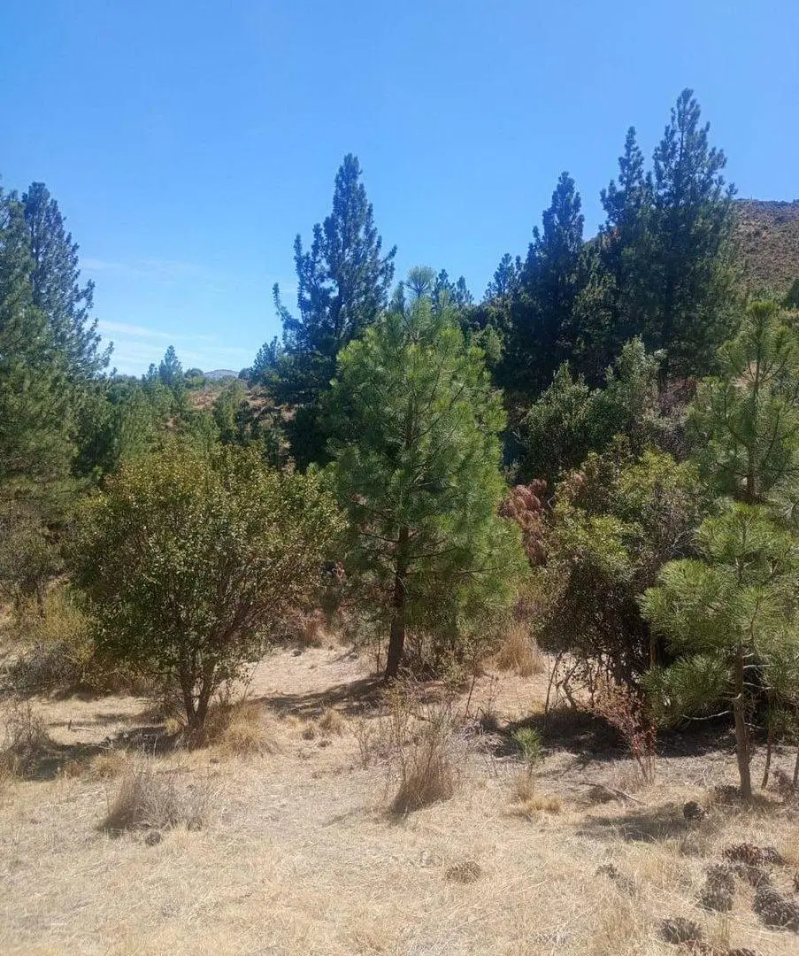 Terreno en Villa Ayelen El Maitenal 5