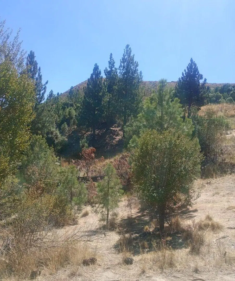 Terreno en Villa Ayelen El Maitenal 3
