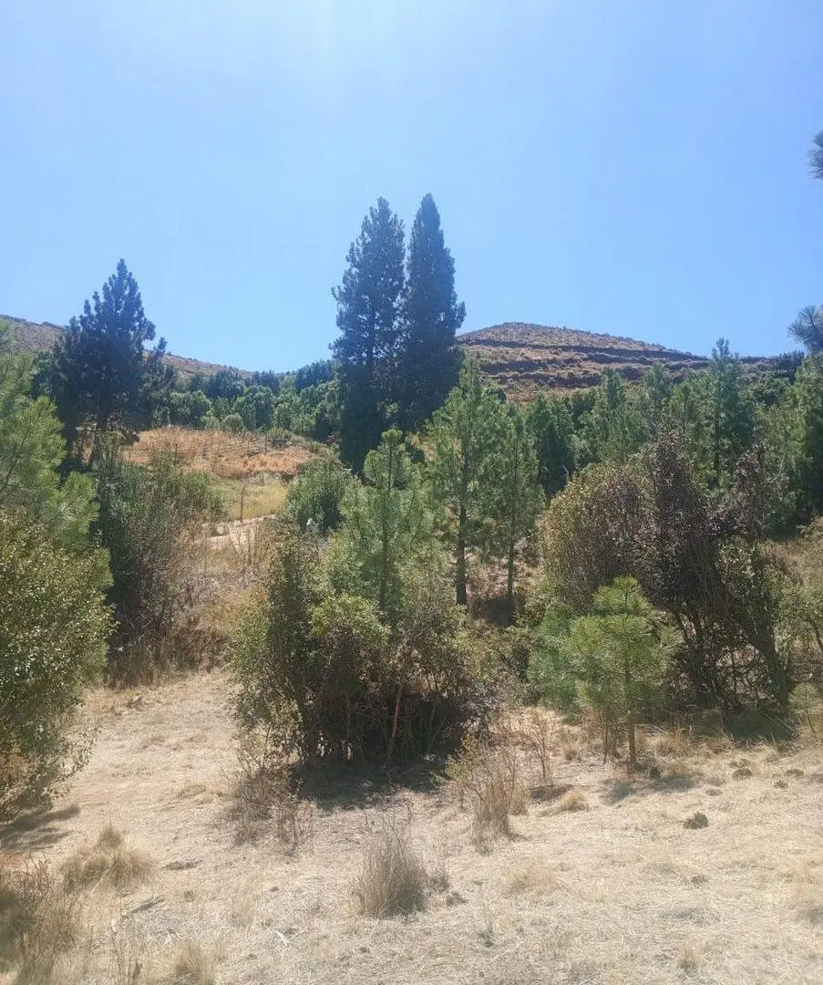 Terreno en Villa Ayelen El Maitenal 2