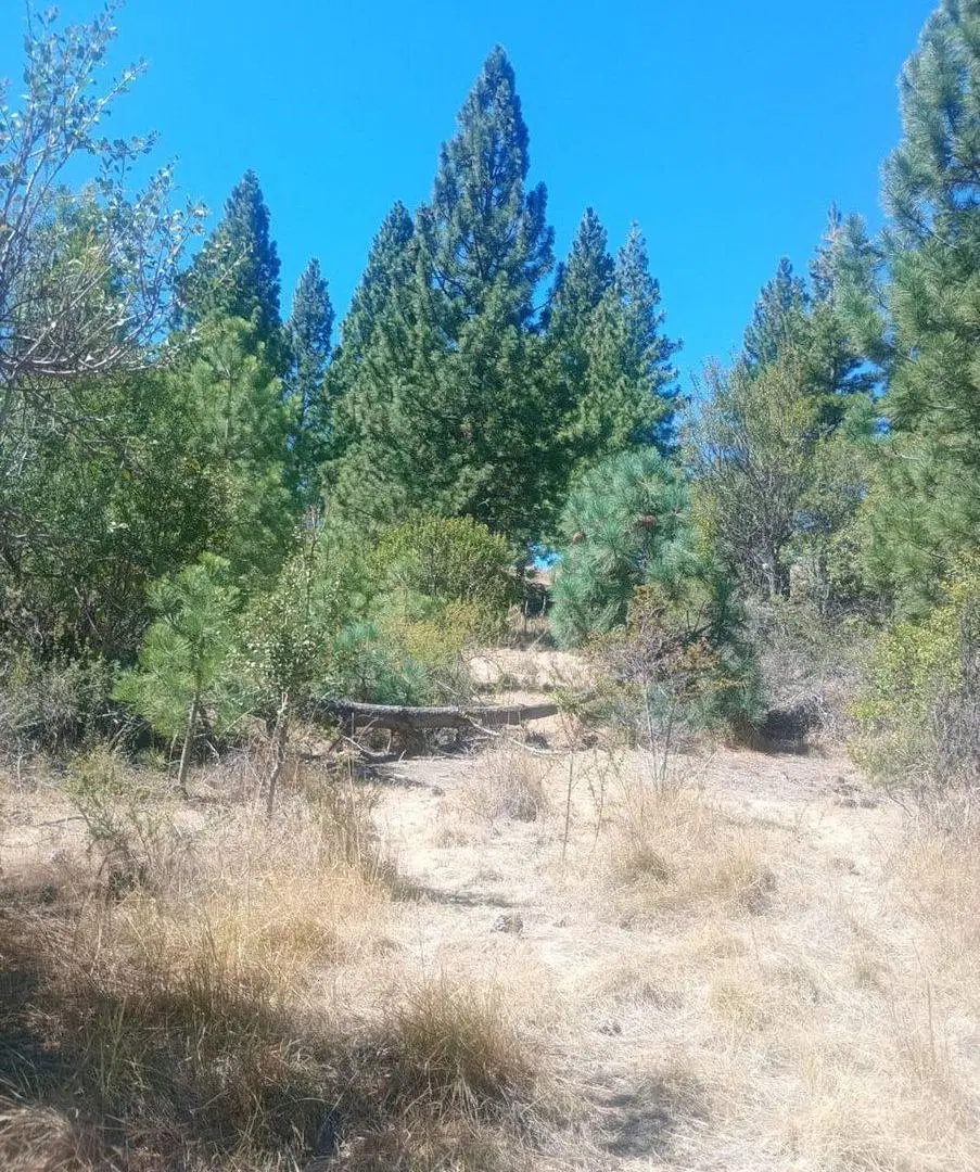 Terreno en Villa Ayelen El Maitenal 4