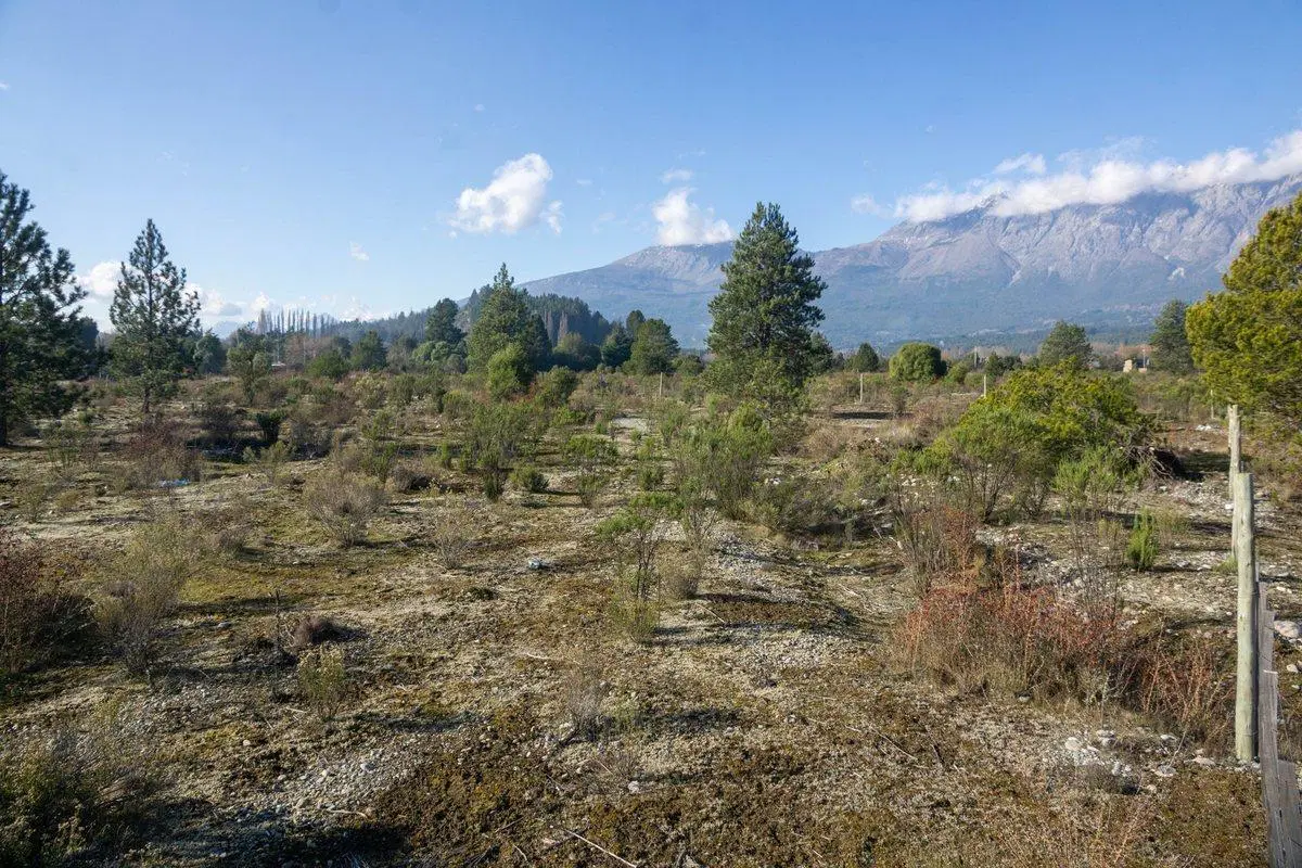Terreno a metros del Río Quenquentreu, Lago Puelo 4