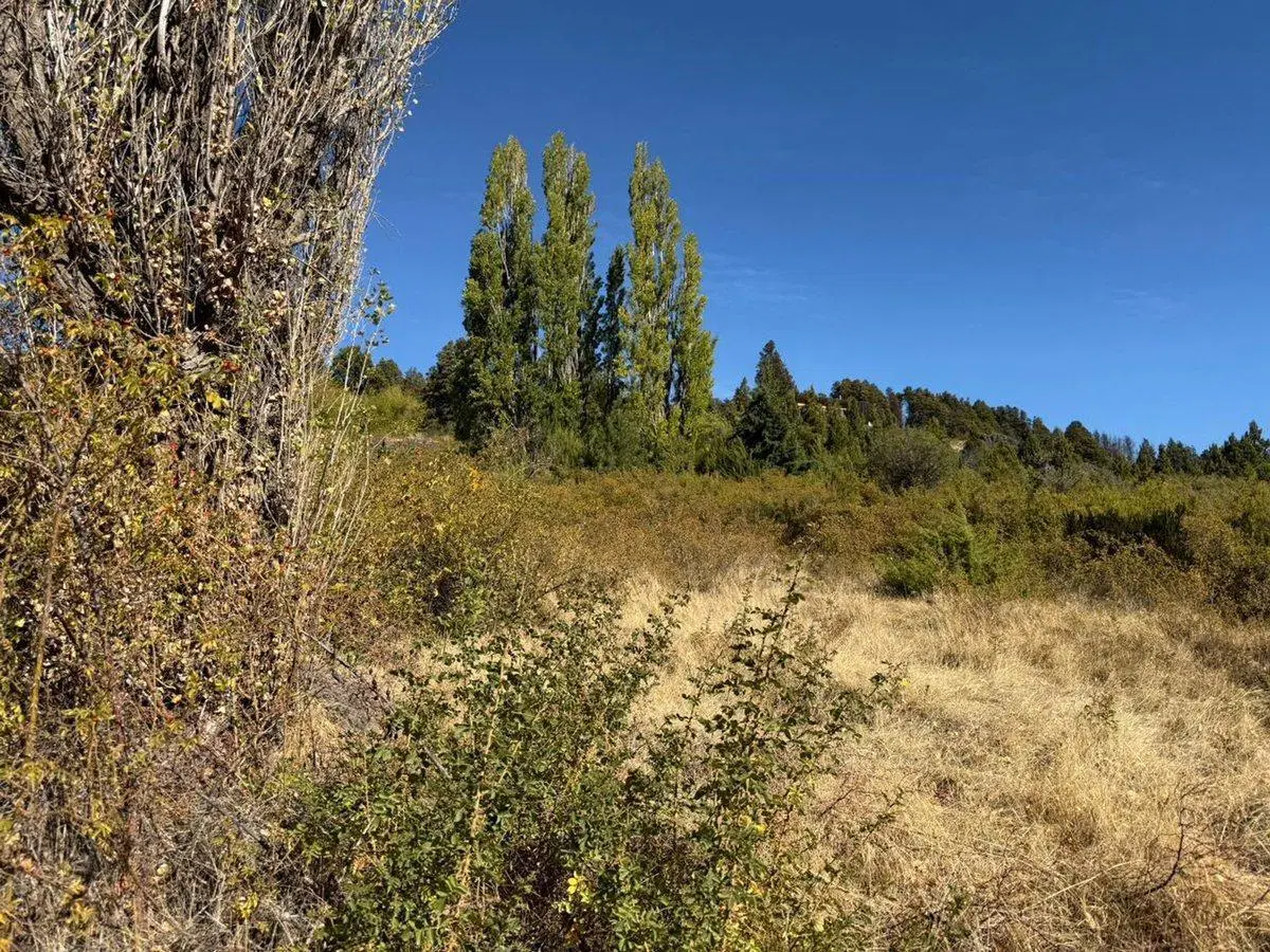 Viví la Patagonia,terreno frente al Lago Mosquito 4