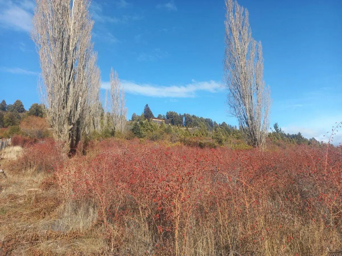 Viví la Patagonia,terreno frente al Lago Mosquito 2
